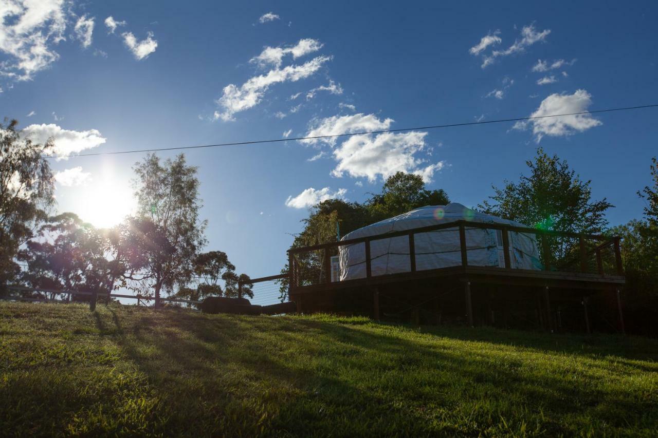 Awesome Glamping Gold Coast Hinterland Hotel Advancetown Luaran gambar