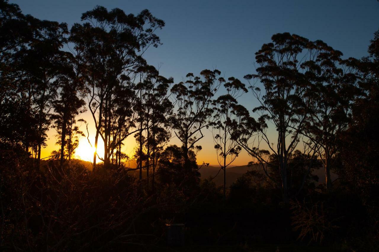 Awesome Glamping Gold Coast Hinterland Hotel Advancetown Luaran gambar